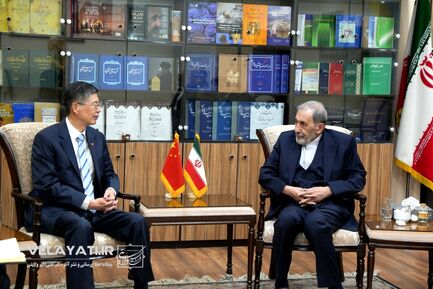 دیدار دکتر ولایتی با سفیر چین در تهران