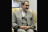 مذاکره کنندگان در چارچوب تعیین شده رهبری حرکت می‌کنند