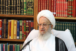 دیدار با آیت الله مکارم شیرازی
