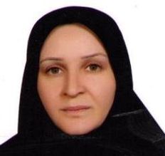 تاریخ و نقش آن در وحدت و اقتدار ملی