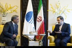 عکس/دیدار سفیر پاکستان با ولایتی