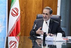 تصاویر دیدار با وزیر دفاع سابق فرانسه/یاسمن محمد