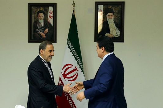 تصاویر دیدار دکتر ولایتی با سفیر سوریه در ایران