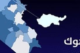 مجمع جهانی بیداری اسلامی حمله به غیر نظامیان در دهوک عراق را محکوم کرد