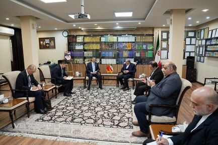 دیدار دکتر ولایتی با سفیر چین در تهران