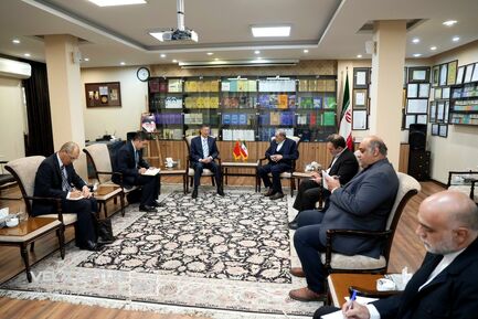 دیدار دکتر ولایتی با سفیر چین در تهران